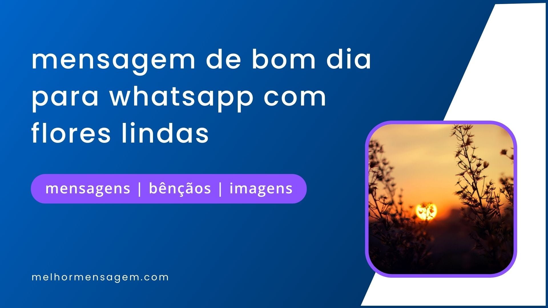 300+ mensagem de bom dia para whatsapp com flores lindas
